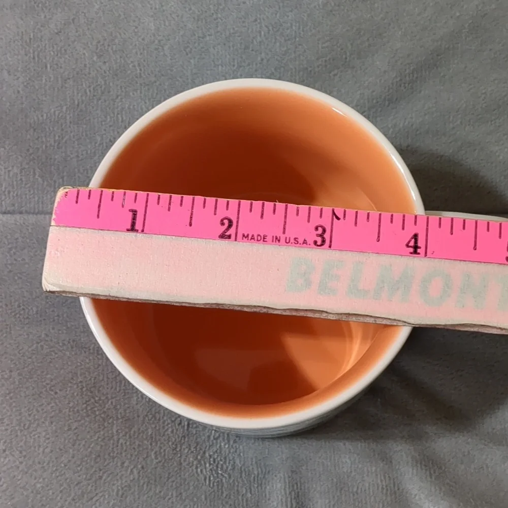 STARBUCKS Texas Ceramic Mug Been There Series 14oz 2019 - Picture 8 of 10